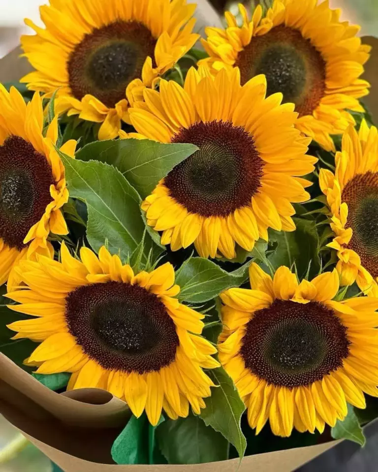Миниатюра товара 3: Без повода — Flowers Place в Абу Даби