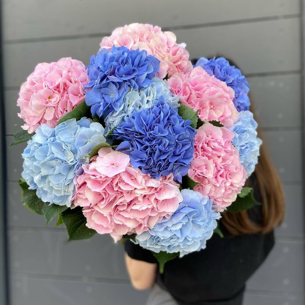 Фото букета 2: Гортензии — Flowers Place на Кубе