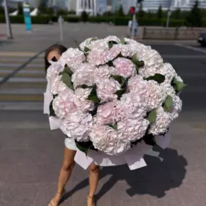 Фото букета «Букет Гортензий 25 Розовых с Лентами «Лунный Вальс» в Айя-Напе» — Доставка цветов в Айя-Напе, фото 1 из 2