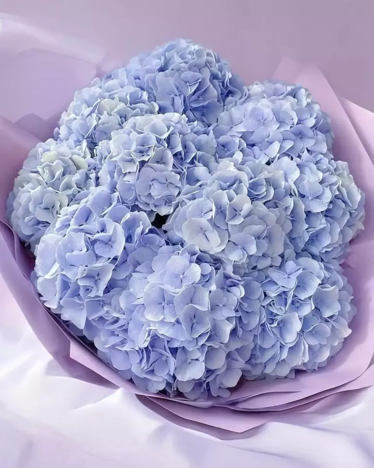 Миниатюра товара 1: Без повода — Flowers Place на Бали