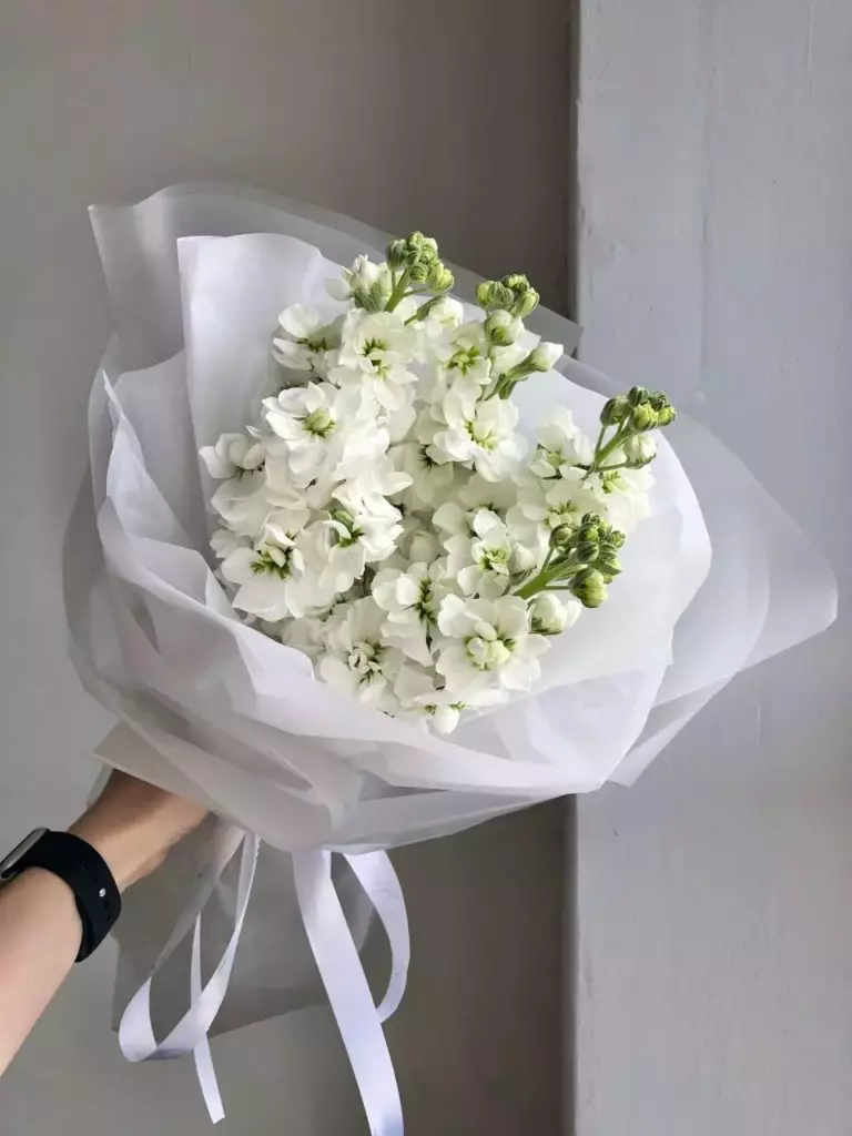 Миниатюра товара 1: Без повода — Flowers Place в Бангкоке