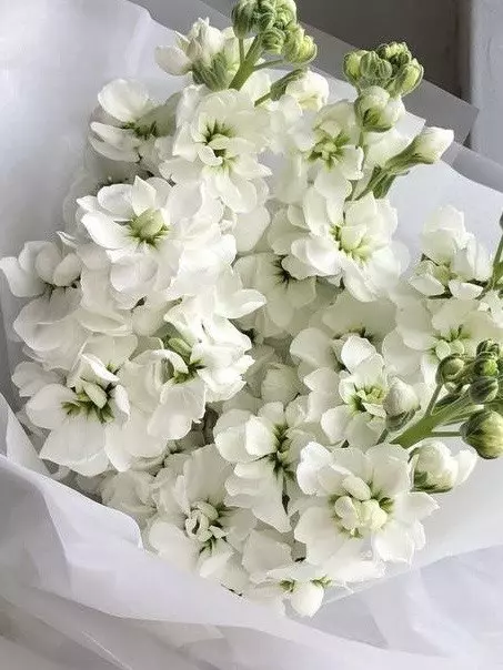 Фото букета 2: Без повода — Flowers Place в Бангкоке