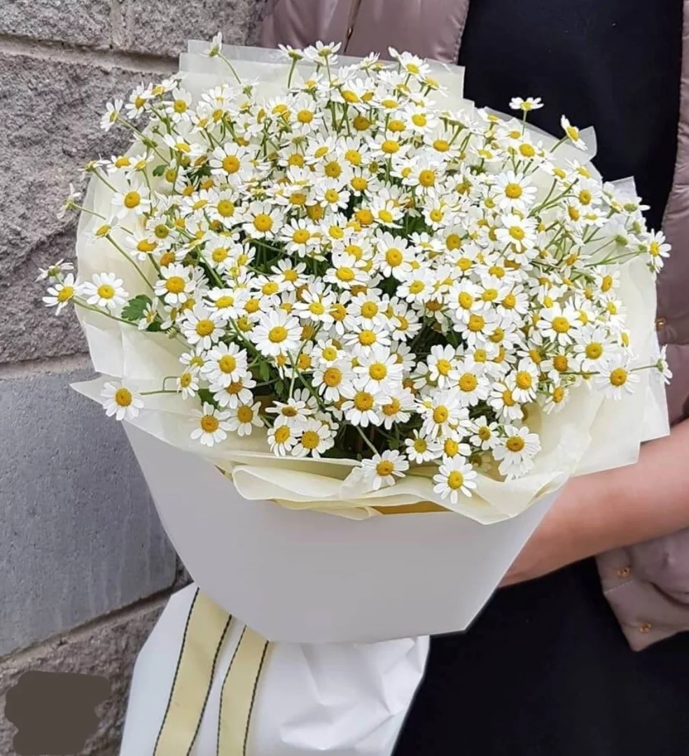 Фото букета: Без повода — Flowers Place По всему миру