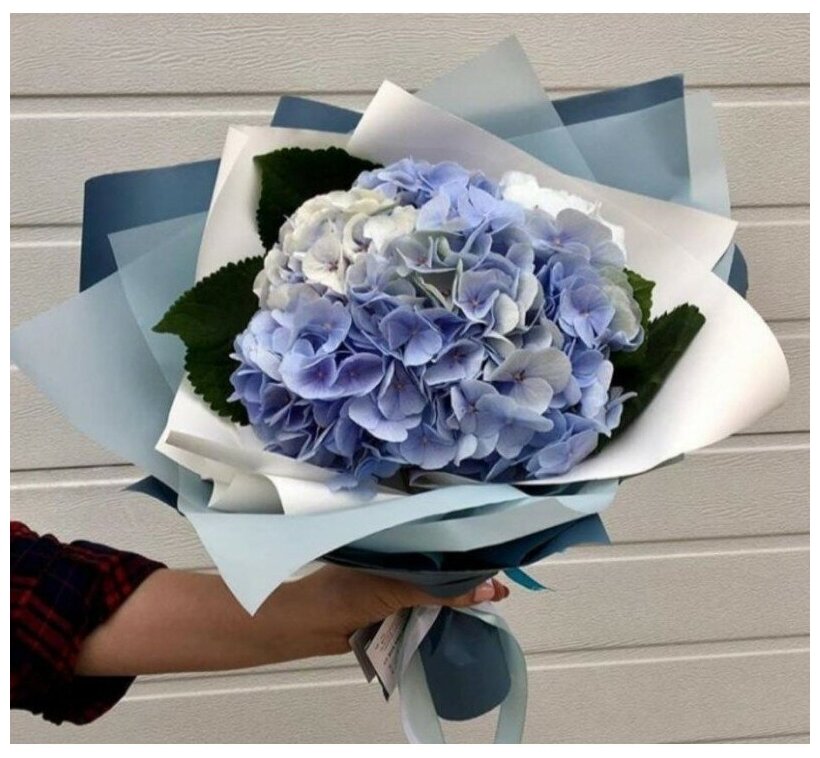 Фото букета 2: Без повода — Flowers Place в Аланье