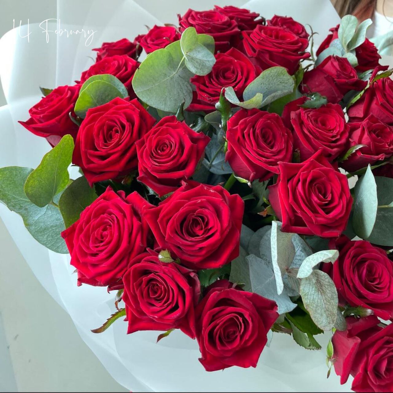 Фото букета 3: Без повода — Flowers Place в Майами