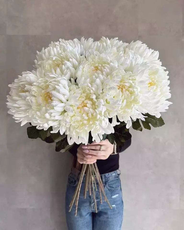 Миниатюра товара 1: Без повода — Flowers Place в Лимассоле