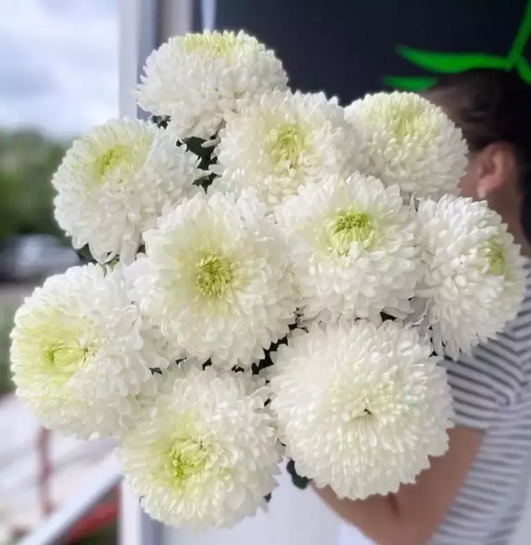 Миниатюра товара 2: Без повода — Flowers Place в Лимассоле