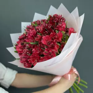 Фото букета «Букет Альстромерий 15 красных с лентами «Вечерняя заря» в Праге» — Цветы Прага - Доставка цветов Flowers Place, фото 1 из 4