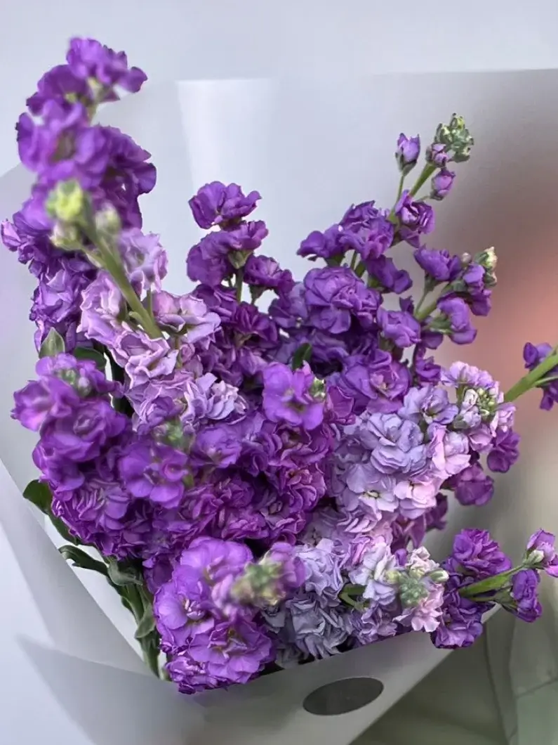 Фото букета 2: Без повода — Flowers Place в Майами