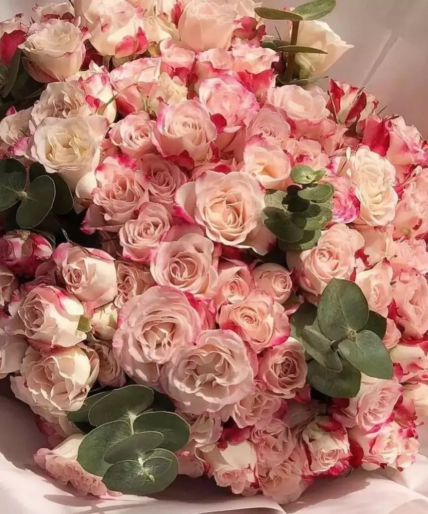 Фото букета 2: WOW-букеты — Flowers Place в Тбилиси