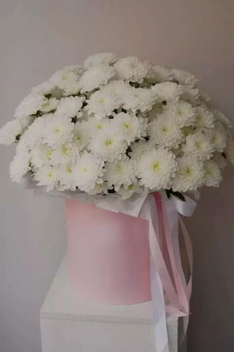 Миниатюра товара 2: Без повода — Flowers Place в Тбилиси